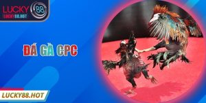 Đá gà CPC