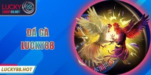 Đá Gà LUCKY88